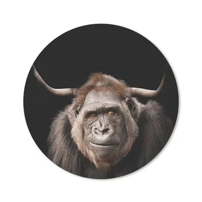 Produktbild von MuchoWow® Mauspad Mousepad Affe - Gorilla - Schottischer Highlander 50x50 cm - Mousepads - Maus Mat - Pad - Mausunterlage - Vinyl