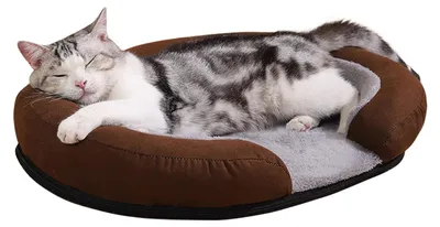Image de Lit orthopédique pour chiens de grande taille