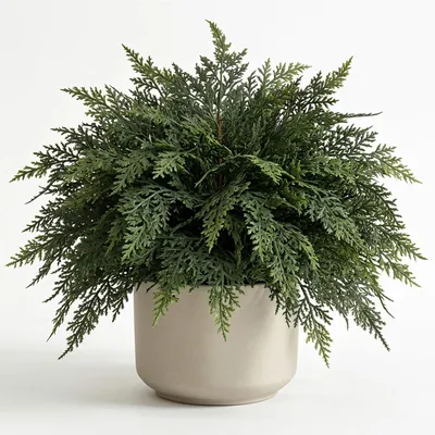 Künstliche Zedernzweige 4er-Set, 48 cm, Weihnachtsdekoration