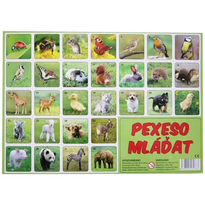 Immagine prodotto di Cuccioli di Pexeso