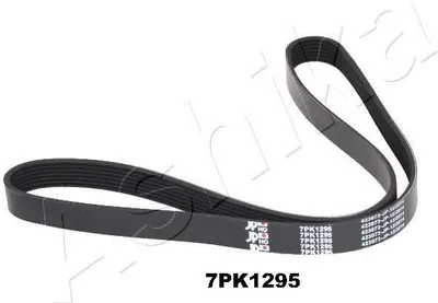 Obrázek produktu pro ASHIKA 112-7PK1295 Rozvodový řemen