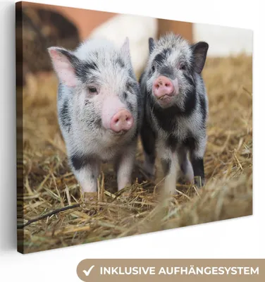 Produktbild von MuchoWow® - Leinwandbilder - Schwein - Tiere - Ferkel, Wandbild, Wanddeko Bilder Wohnzimmer, 40x30 cm