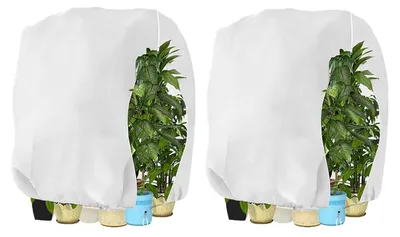 Image de Protection hivernale pour plantes, housse 250x360 cm, blanche, lot de 2, respirante, résistante à la déchirure