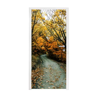 Obrázok produktu pre MuchoWow® Tapety na dvere - Samolepiaca fólia na dvere - Listy - jeseň - les - 215x90x0.1cm - Plagát na dvere - Samolepiaca fólia na dvere