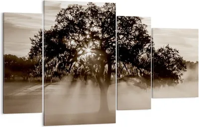 Produktbild von Bild auf Leinwand - Leinwandbild - Baum Feld Natur - 120x70cm - Wand Bild - Wanddeko - Wandbilder - Leinwanddruck - Bilder - Kunstdruck - Wanddekoration - Leinwand bilder - Wandkunst - DL120x70-3811