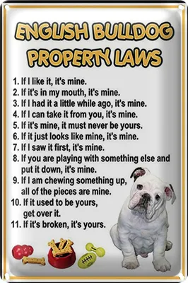 Produktbild von Blechschild Spruch 18x12cm english bulldog property laws