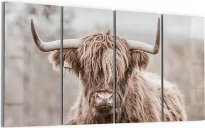 Produktbild von DEQORI Glasbild Echtglas 4x30x60 cm 'Majestätische Stille' Wandbilder XXL groß