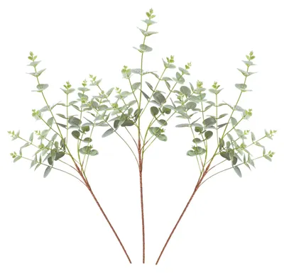Immagine prodotto di LAYBA, rami di eucalipto artificiali, color verde oliva, piante decorative per vasi, matrimoni, eventi, decorazioni da tavolo e arredamento moderno