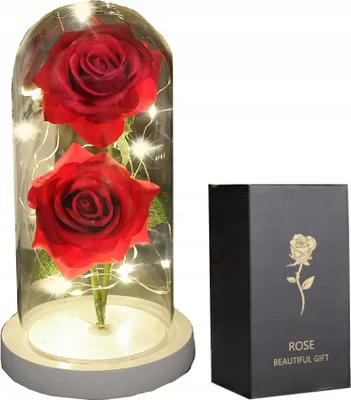 Image de ETERNAL DOUBLE rose en verre lumineux LED GIFT