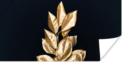 Produktbild von MuchoWow® Poster Pflanze - Blätter - Gold - Schwarz - Luxus 40x20 cm - Poster für die Wand - Poster Schlafzimmer