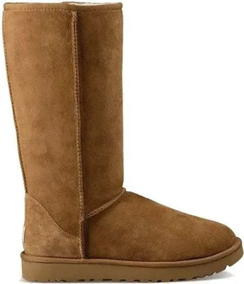 Produktbild von UGG Damen Stiefeletten 1016224 CHE Farbe: Braun Größe: 38