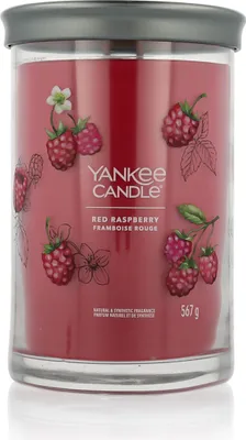 Productafbeelding van Yankee Candle 1724404E, Cilinderkaars, paars, 100 uur brandduur, 1 stuk