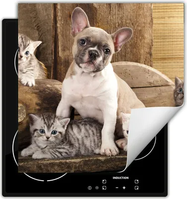 Produktbild von DarHaus Herdabdeckplatte 50x52 cm Anti Rutsch Matte Aufrollbar, Katzen und Hunde