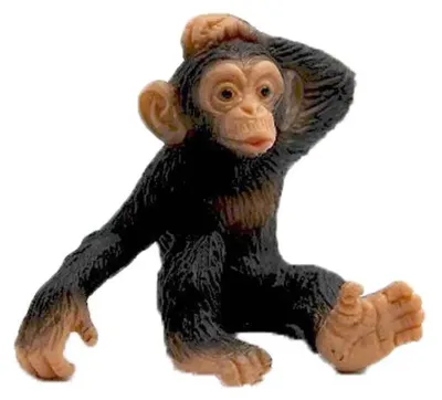 Immagine prodotto di Cucciolo di scimpanzé - figura di gioco