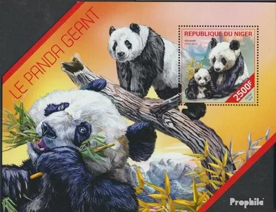 Produktbild von Briefmarken Niger 2014 Mi Block 310 (kompl. Ausg.) postfrisch Riesenpanda