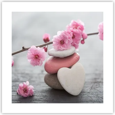Produktbild von Poster - Poster ohne Rahmen - Yoga weiblich Blume Gesundheit - 40x40 cm - Wand Bild - Wanddeko - Wandbilder - Kunstposter - Wandposter - Bilder - Kunstdruck - Wandbild - P2XAC40x40-3178