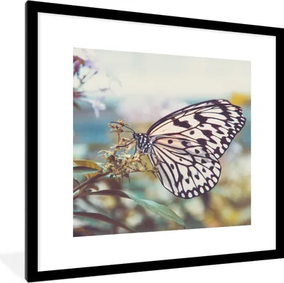 Produktbild von MuchoWow® Gerahmtes Poster Schmetterling - Blumen - Frühling 40x40 cm - Poster mit Schwarzem Bilderrahmen Wandposter Rahmen Foto Bilder - Poster - Plakat im Rahmen