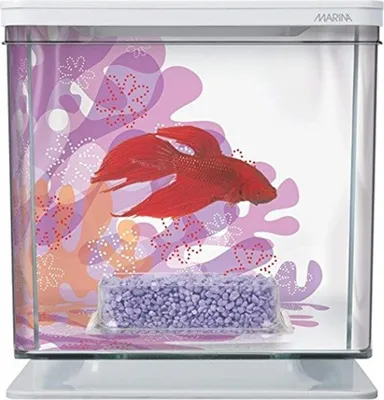 Obrázok produktu pre Marina Betta Kit, kvetina