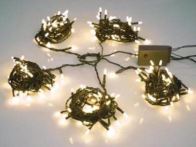 Produktbild von Light Creations Speed Light LED - 220 LEDs - Warmweiß - grünes Kabel - Modulator - 24 V (für Bäume