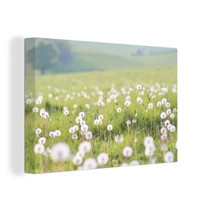 Zdjęcie produktu dla OneMillionCanvasses® - Obrazy na płótnie - 150x100 cm, Wiosna - Dmuchawiec - Kolory, grafika ścienna, dekoracja ścienna