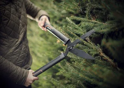 Image de Tondeuse à gazon, sécateur de jardin