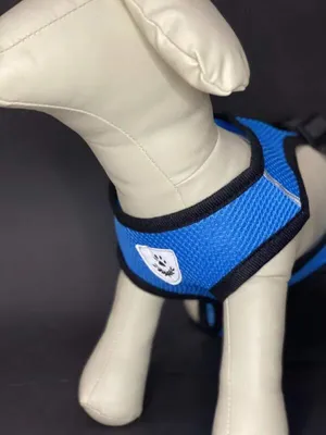 Produktbild von REFLEX Hundegeschirr mit Leine S - blau