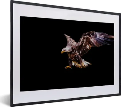 Produktbild von MuchoWow® MuchoWow® Gerahmtes Poster Adler - Vogel - Federn 60x40 cm - Poster mit zchwarzem Bilderrahmen - Schlafzimmer - Plakat in Rahmen - Drucken