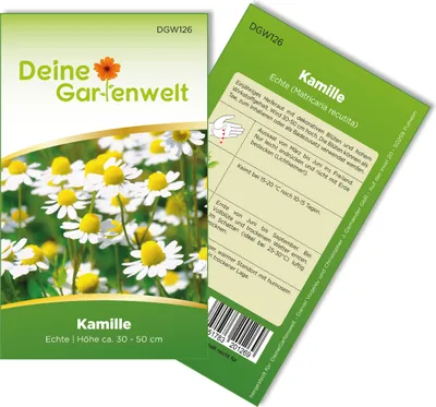 Kamille Echte Samen - Matricaria recutita - Kamillesamen - Kräutersamen - Blumensamen - Saatgut für 150 Pflanzen