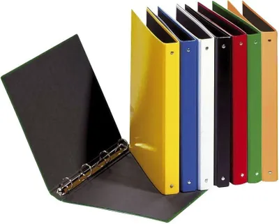 Zdjęcie produktu dla 12x Pagna® 20405-00 Ringbuch Basic Colours - A5, 4-Ring, Ring-Ø 25mm, farbig sortiert