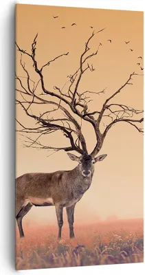 Produktbild von Bild auf Leinwand - Leinwandbild - Hirsch Baum Nebel Wald - 65x120cm - Wand Bild - Wanddeko - Leinwanddruck - Bilder - Kunstdruck - Wanddekoration - Leinwand bilder - Wandkunst - PA65x120-3127