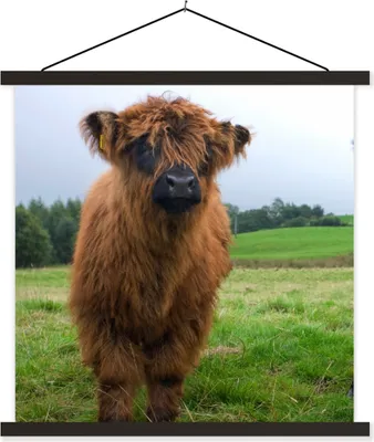 Produktbild von MuchoWow® Textilposter Schottische Hochlandrind - Kühe - Natur - Grün - Gras 60x60 cm mit schwarzem Rahmen - Posteraufhänger