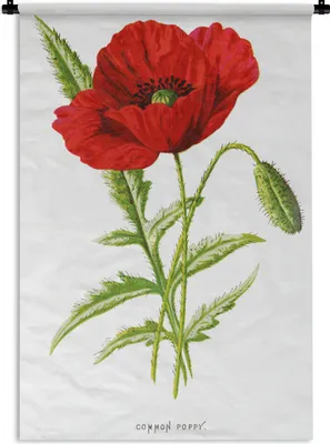 Produktbild von MuchoWow® Wandteppich Wandbehang Blume - Rot - Vintage 60x90 cm Tapisserie Dekoration Wandtuch - Foto-Teppich - Abwaschbar