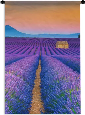 Produktbild von MuchoWow® Wandteppich Wandbehang Lavendel - Lila - Blumen 60x90 cm Tapisserie Dekoration Wandtuch - Foto-Teppich - Abwaschbar