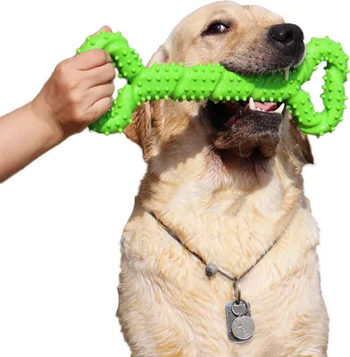 Produktbild von Robustes Hundespielzeug, 32 cm, knochenförmiges Kauspielzeug aus Hartgummi mit konvexem Design, stark interaktiv für große und kleine Hunde, reinigt die Zähne und massiert das Zahnfleisch