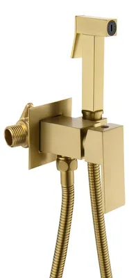Bidet Handbrause Toilet gebürstetes Gold 1,5 m Schlauch