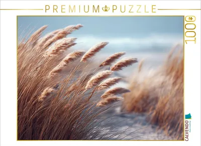 Produktbild von CALVENDO Puzzle Späte Sommerbrise | 1000 Teile Lege-Größe 64x48cm Foto-Puzzle für glückliche Stunden