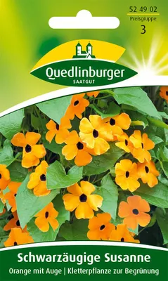 Produktbild von Schwarzäugige Susanne Orange mit Auge | Blumensamen von Quedlinburger