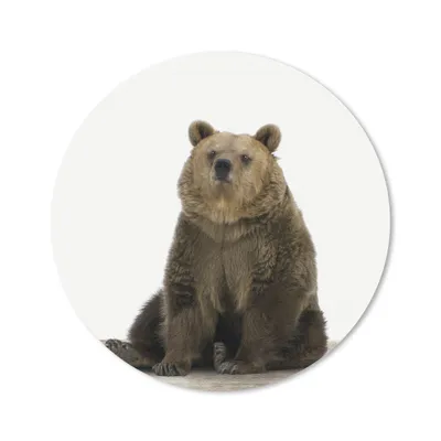 Produktbild von MuchoWow® Mauspad Mousepad Braunbär - Tiere - Bär - Niedlich - Jungen - Mädchen 40x40 cm - Mousepads - Maus Mat - Pad - Mausunterlage - Schreibtisch Accessoires