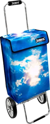 Obrázek produktu pro Nákupní vozík James - HEAVEN - robustní nákupní vozík s individuálním designem - jednobarevný: modrý v provedení: Chrome19