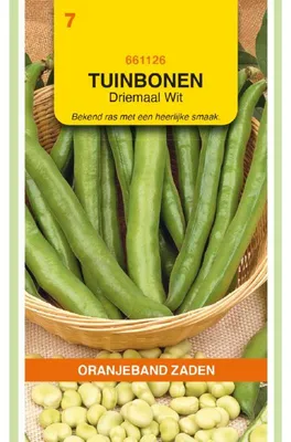 Produktbild von Oranjeband Puffbohnen Dreifach Weisse, 250g - 1 Packung Saatgut