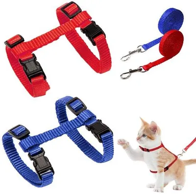 Immagine prodotto di Collare per cani e gatti in nylon traspirante, regolabile, disponibile per cuccioli