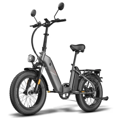 Immagine prodotto di FAFREES FF20 Polar E-Bike - 48V13.4AH*2 Batteria 20 Pollici Pneumatici - Nero