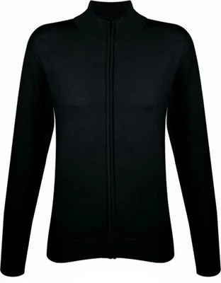Produktbild von SOLS Damen Gordon Strickjacke mit Reißverschluss, V-Ausschnitt, Langarm PC505 (S) (Schwarz)