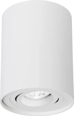 A white cylindrical ceiling light with a visible LED bulb.