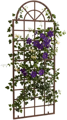 Produktbild von CLP Rankgitter Viva aus Eisen mit Rundbogen und Wandhalterung für den Garten | Farbe antik braun, KI-generiertes Bild