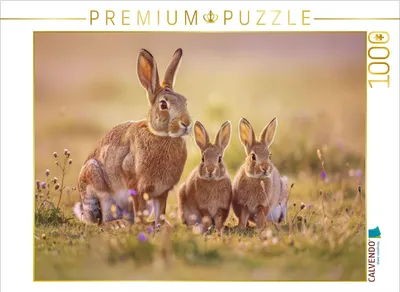 Produktbild von CALVENDO Puzzle Zarte Farben, sanfte Formen – Pastellhasen. | 1000 Teile Lege-Größe 64x48cm Foto-Puzzle für glückliche Stunden