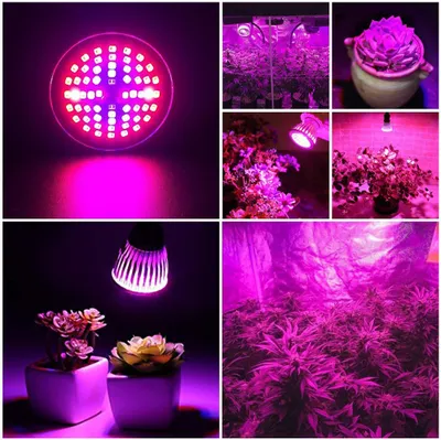 A collage of images showing a plant grow light and plants under its illumination.
