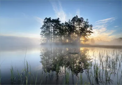 Produktbild von Wallario selbstklebendes Poster - Stiller See mit Insel im Morgennebel, Größe: 70 x 100 cm