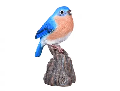 Image de Nohel Garden Oiseau sur bois 16cm