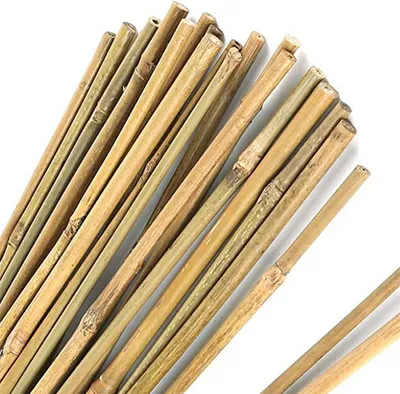 Imagen del producto de Varillas de bambú natural, de 30 cm de longitud, paquete de 20 unidades, soportes para plantas, ideales para la cocina